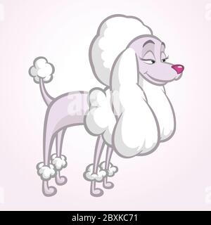 Weiße Cartoon Pudel. Vektorgrafik Stock Vektor