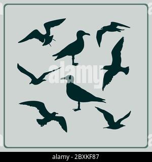 X Set von Möwen Silhouetten Stock Vektor