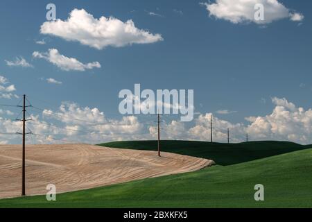 Stromleitungen durchtrennen die sanften Hügel von Ackerland in der Region Palouse im Bundesstaat Washington mit einem wunderschönen blauen Himmel voller Wolken Stockfoto