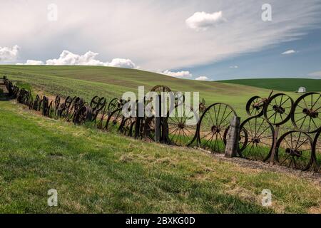 Ein Zaun aus alten Metall verrosteten Rädern. Grüne Hügel und ein blauer Wolkenhimmel sind im Hintergrund. Aufgenommen im Palouse, Washington. Stockfoto