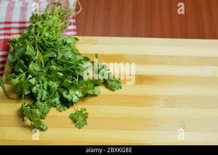 Frische Korianderblätter, Green Cilantro auf Holzfläche Stockfoto