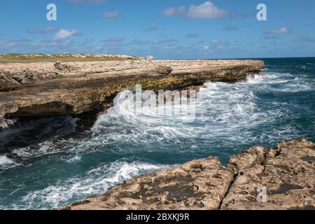 Wellen gegen die Felsen am Devil's Bridge in Antigua, West Indies Stockfoto