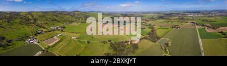 Panorama-Luftaufnahme nach Tununda in der berühmten Weinbauregion Barossa Valley; viele Weinberge sind im Vordergrund deutlich sichtbar Stockfoto