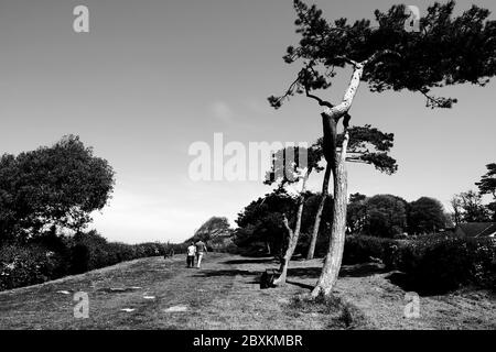 Ein Paar läuft entlang der Turf Walk Totland Bay Promenade mit Hohe Bäume Stockfoto
