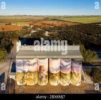 Kimba South Australia 13. September 2019 : Silo Kunst in der kleinen Stadt Kimba, bekannt als der halbe Punkt in Australien Stockfoto