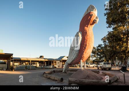 Kimba South Australia 13. September 2019 : riesige hölzerne Galaschenskulptur in Kimba in South Australia, bekannt als der halbe Punkt in Australien Stockfoto