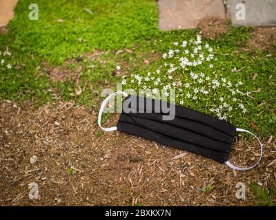 Handgemachte Gesichtsmaske aus Baumwolle im Garten neben weißen Blüten (Caryophyllaceae). Hausgemachter Schutz vor COVID-19-Ausbruch Stockfoto