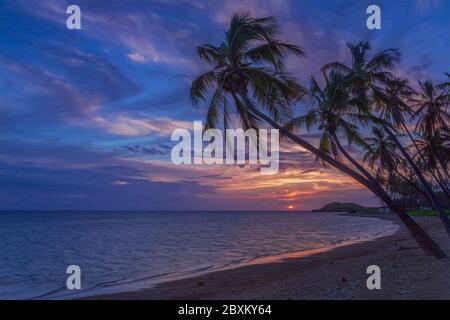 Palmen, die bei Sonnenuntergang am Strand von Molokai, Hawaii, gegen den Himmel silhouettiert wurden Stockfoto