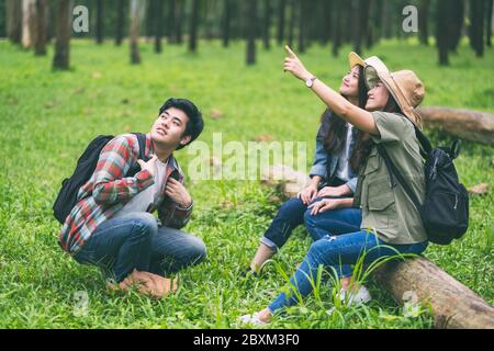 Eine Gruppe von Reisenden, die auf einem Holzschlochholz sitzen und in einen wunderschönen Pinienwald blicken Stockfoto
