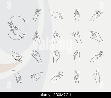 Hände in verschiedenen Gesten auf einem grauen Hintergrund in einem linearen Stil gezeichnet und isoliert. Eine Sammlung von Vektorlogos aus der Hand. Stock Vektor