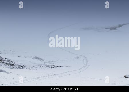 Fußspuren im Schnee, die über den gefrorenen See führen. Stockfoto