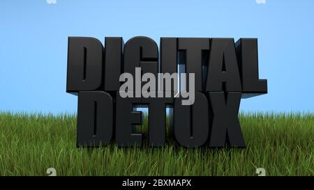 Digital Detox schwarzer Schriftzug in Gras auf blauem Himmel Hintergrund. 3d-Rendering Stockfoto
