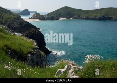 Wilder Küstenabschnitt am Jakobsweg bei Llanes im Golf von Biskaya Stockfoto