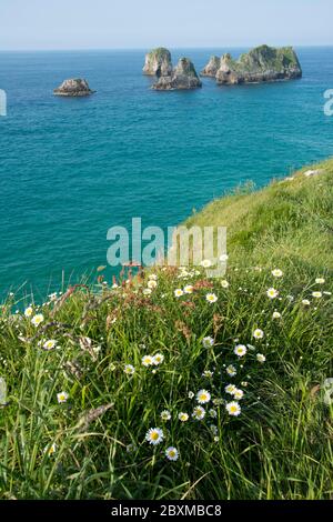 Wilder Küstenabschnitt am Jakobsweg bei Llanes im Golf von Biskaya Stockfoto