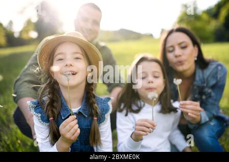 Glückliche Familie mit zwei kleinen Töchtern im Freien im Frühling Natur sitzen, weht Löwenzahn Samen. Stockfoto