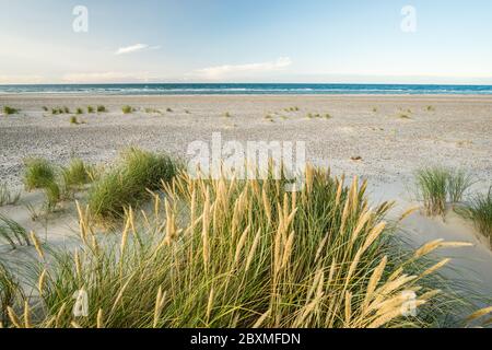 Strand mit Sanddünen und Marram Gras in sanftem Sonnenaufgang Sonnenuntergang Licht. Skagen Nordstrand, Dänemark. Skagerrak, Kattegat. Stockfoto