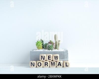 Neue normale, Wort auf hölzernen Alphabet Würfel und Kaktus Pflanzen in Beton Garten Töpfe auf Regal auf weißem Hintergrund mit Kopierraum. Stockfoto