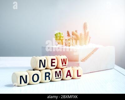 Neue normale, Wort auf hölzernen Alphabet Würfel und Kaktus Pflanzen in Beton Gartentöpfe auf Regal mit Sonnenlicht. Stockfoto