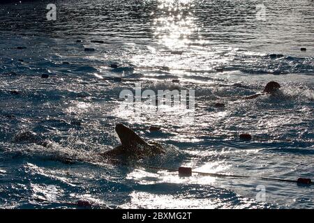 650 Teilnehmer aus ganz Europa nehmen an den zweijährlichen Kaltwasser-Schwimmmeisterschaften im Tooting Bec Lido in South, London, Großbritannien, Teil. 24.01.2015 Stockfoto