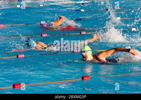 650 Teilnehmer aus ganz Europa nehmen an den zweijährlichen Kaltwasser-Schwimmmeisterschaften im Tooting Bec Lido in South, London, Großbritannien, Teil. 24.01.2015 Stockfoto