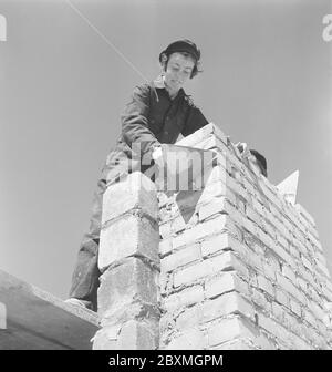 In den 1950er Jahren. Die Bauarbeiterinnen legen auf einer Baustelle Steine. Schweden 1951. Kristoffersson Ref BB94-6 Stockfoto