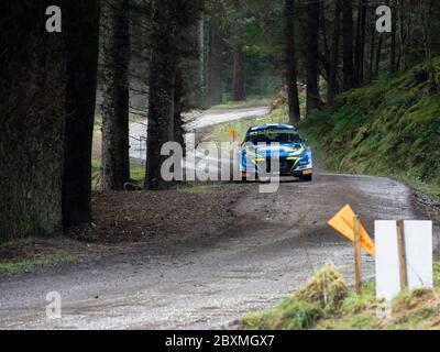 Glen Urquhart, Highland, Schottland, 7. März 2020. Rallye-Auto, das an der Coogie Urquhart Snowman Rally 2020 des Highland Car Club teilnimmt. Die Veranstaltung beginnt und endet in Inverness, wo die Autos über festgelegte Etappen in den Wäldern von Inverness-Shire und Wester Ross gegen die Uhr Rennen. Dies zeigt die Sonderstufe 1 (Lochletter 1). Stockfoto