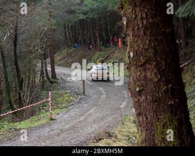 Glen Urquhart, Highland, Schottland, 7. März 2020. Rallye-Auto, das an der Coogie Urquhart Snowman Rally 2020 des Highland Car Club teilnimmt. Die Veranstaltung beginnt und endet in Inverness, wo die Autos über festgelegte Etappen in den Wäldern von Inverness-Shire und Wester Ross gegen die Uhr Rennen. Dies zeigt die Sonderstufe 1 (Lochletter 1). Stockfoto