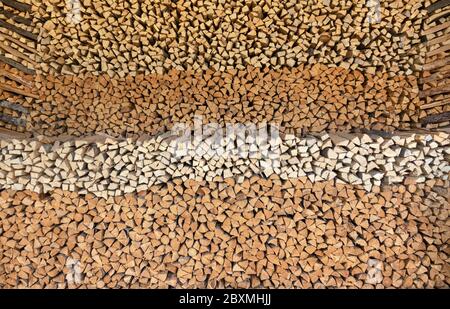 Riesiger Holzstapel mit Muster in verschiedenen Farben Stockfoto