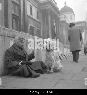 London in den 1950er Jahren. Mann sitzt und bettelt mit seinem Hund auf der Straße in London 1952 Stockfoto