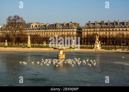 Jardin des Tuileries Gärten im Winter, Paris, Frankreich Stockfoto