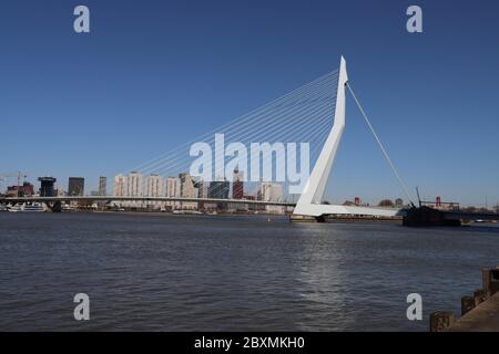 Weiße erasmusbrug Brücke über den Fluss Nieuwe Maas im Stadtzentrum von Rotterdam im Nehmerland Stockfoto