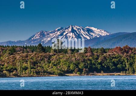 Mount Ruapehu, 50 km entfernt, über dem Lake Taupo, Central Plateau, Waikato Region, Nordinsel, Neuseeland gesehen Stockfoto