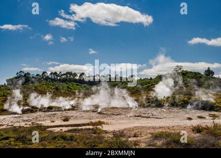 Fumarolenfeld bei Kraters of the Moon Thermal Area, Waikato Region, North Island, Neuseeland Stockfoto