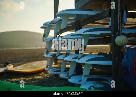 Mehrere Surfbretter am Sandstrand am Sommertag Stockfoto