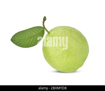 Guave isoliert auf weißem Hintergrund. Stockfoto