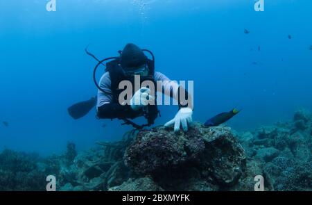 (200608) -- HAIKOU, 8. Juni 2020 (Xinhua) -- EIN Mitarbeiter patrouilliert auf einer Marine Ranch im Meeresgebiet der Wuzhizhou Insel in Sanya, Südchinesische Provinz Hainan, 28. März 2020. Die Marine Ranch im Meeresgebiet der Insel Wuzhizhou in Sanya ist Chinas erste tropische Marine Ranch. In den letzten Jahren hat die Marine Ranch sukzessive künstliche Riffverlegung, Wiederherstellung der Meeresumwelt und Korallentransplantation durchgeführt und schrittweise den Schutz und die Wiederherstellung des marinen Ökosystems gefördert. Bis Ende 2019, insgesamt 1,526 künstliche Fischfangriffe verschiedener Arten, 21 Schiffsriff Stockfoto