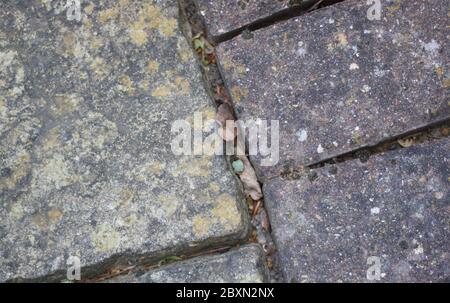 Abschnitt der Terrasse mit verwitterten Blöcken mit Ablagerungen dazwischen Stockfoto