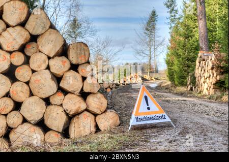 Gestapelte Baumstämme auf dem Waldpfad mit Warnschild Maschinennutzung. Die Schäden durch Stürme haben zu einer Flut von Fichtenholz in ganz Europa geführt, whi Stockfoto