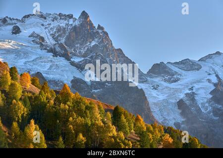 Der Gletscher La Meije im Herbst im Ecrins Nationalpark. Hautes-Alpes (05), Alpen, Frankreich Stockfoto