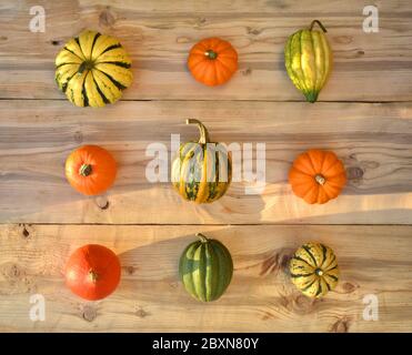 Verschiedene Kürbisse und Squashes auf Holzhintergrund Stockfoto