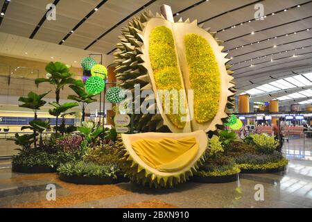 SINGAPUR - 7. OKTOBER 2015 : Abflughalle am Changi Airport Singapur. Sofa in Form von Durian-Früchten und Gartendekoration. Stockfoto