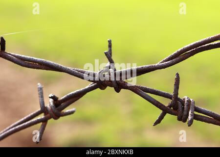 Nahaufnahme rostigen alten Stacheldraht Detail Stockfoto