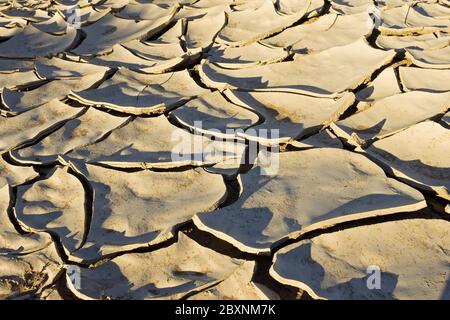 Ausgetrockneter Lehmboden im Flussbett, Namib-Wüste, Afrika Stockfoto