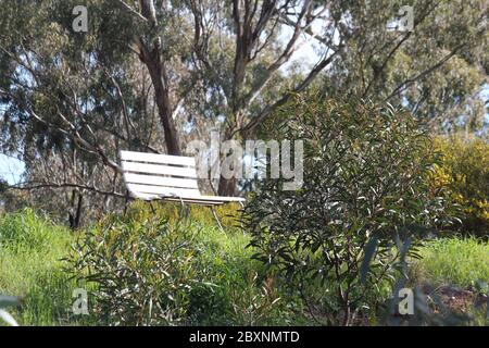 Wildes Buschland mit weißer Bank in Wedderburn, Victoria, Australien Stockfoto