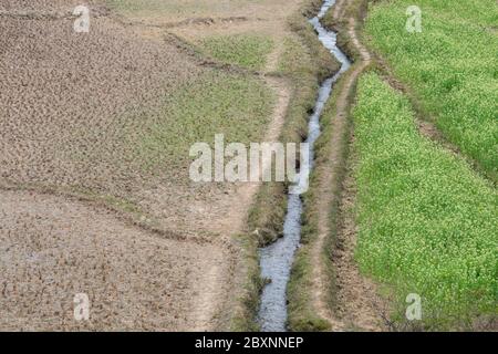 Bhutan, Punakha Bezirk, Yepaisa Dorf. Bewässerte terrassierte Reisfelder. Stockfoto