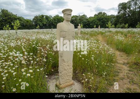 London UK 08 Juni 2020 Langley Vale Memorial in Epson hat ein passendes Denkmal für diejenigen, die ihr Leben im Ersten Weltkrieg verloren haben.Langley Vale Wood ist der größte unserer vier Jahrhunderte alten Wälder des Ersten Weltkriegs und hat viele alte Wälder, Die Cherry Avenue hat Schilder, die Informationen über die Geschichte des Ersten Weltkriegs vor Ort geben.während des Ersten Weltkriegs wurde das Ende von Walton und Tadworth für die Ausbildung der Armee genutzt und es gab Schützengräben und eine Gewehrschar.Paul Quezada-Neiman/Alamy Live News Stockfoto