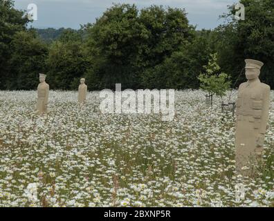 london UK 08 Juni 2020 Langley Vale Memorial in Epson hat ein passendes Denkmal für diejenigen, die ihr Leben im Ersten Weltkrieg verloren haben.Langley Vale Wood ist der größte unserer vier Jahrhunderte alten Wälder des Ersten Weltkriegs und hat viele alte Wälder, Die Cherry Avenue hat Schilder, die Informationen über die Geschichte des Ersten Weltkriegs vor Ort geben.während des Ersten Weltkriegs wurde das Ende von Walton und Tadworth für die Ausbildung der Armee genutzt und es gab Schützengräben und eine Gewehrschar.Paul Quezada-Neiman/Alamy Live News Stockfoto