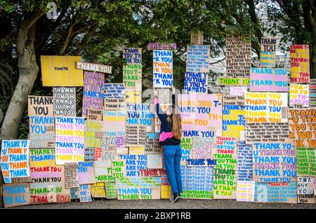 Hermine Wilson hilft bei der Installation eines neuen Kunstwerks im Jupiter Artland, Edinburgh, das als Hommage an das NHS mit dem Titel 'A Thousand Thank Yous' entstand, das ursprünglich vom verstorbenen Allan Kaprow entworfen wurde und aus bunt gemalten Botschaften auf Karton besteht und von dem Londoner Künstler Peter Liversidge ferngesteuert inszeniert wurde. Stockfoto