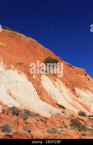 Portugal, Algarve, Albufeira, Olhos D'Agua Beach an Portugals Atlantikküste. Wunderschöne Sandsteinfelsen. Stockfoto