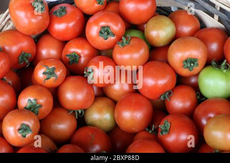 Schachtel Tomaten, die am Stand eines Obst- und Gemüsemarktes verkauft werden Stockfoto